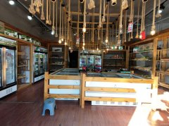 C11132昌吉红旗东路经营中品牌火锅食材店转让