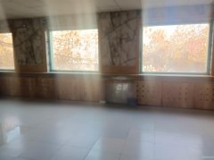 C11183位于昌吉建设路附近旺铺出租