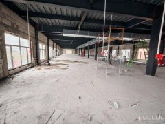 C11186米东南路轻校对面1000平旺铺转让