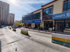 C11200蟠龙山庄300平台球厅转让