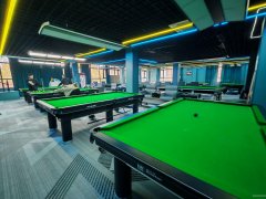 C11200蟠龙山庄300平台球厅转让