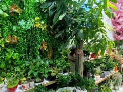 C11278位于五家渠市格里芬堡小区附近花店转让