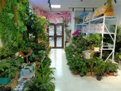 C11278位于五家渠市格里芬堡小区附近花店转让