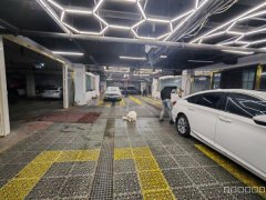 C11284仓房沟盛世雅苑700平汽车会所转让