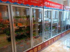 C11395位于五家渠市贝鸟语诚餐饮店低价急转