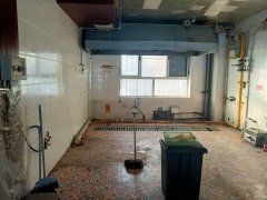 C11440位于阜康市元森国际北门临街商铺出租