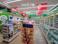 新华北路800平负1楼、8楼664平、1楼240平出租