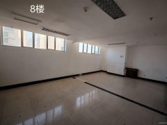 新华北路800平负1楼、8楼664平、1楼240平出租