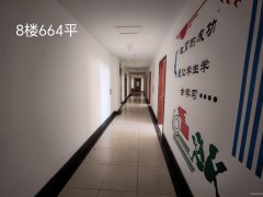 新华北路800平负1楼、8楼664平、1楼240平出租