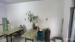 C11504位于米东区上沙河附近早餐店转让