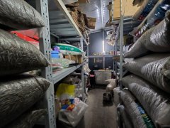 （成功案例）C11520青海路北一巷66平干果炒货店转让