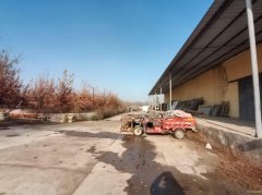 C11574昌吉市滨湖镇保鲜库整租分租都可