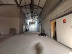 C11574昌吉市滨湖镇保鲜库整租分租都可