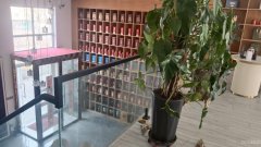 C11719品牌南贵坊昌吉市绿州北路临街营业中转让