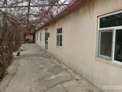 C11750位于阜康市九运街地磅附近院落出租