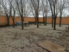 C11750位于阜康市九运街地磅附近院落出租