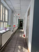 C11789位于北京北路（原市规划局办公楼）空房对外出租