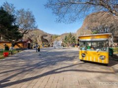 C11829红山公园南门小吃店转让