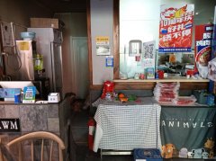 C11957位于昌吉市建国西路城建步行街经营中米粉店面转让