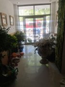 C11961昌吉市延安北路临街120号商铺出租