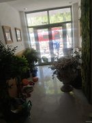 C11961昌吉市延安北路临街120号商铺出租