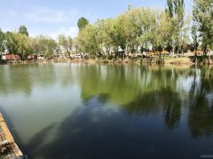 C11970位于五家渠周边土地整体出租