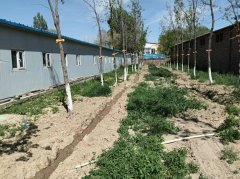 C11970位于五家渠周边土地整体出租