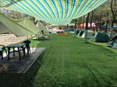 C11970位于五家渠周边土地整体出租