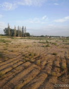 C12003空地招租，先到先得