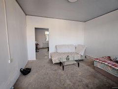 C12024阜康冰湖一队160农家院子出租