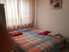 C12144院子出售 现有五工台新一队路边二亩地的大院子出售