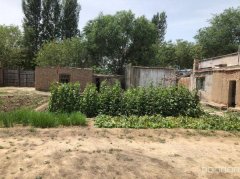 C12144院子出售 现有五工台新一队路边二亩地的大院子出售