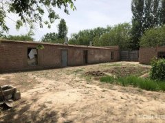 C12144院子出售 现有五工台新一队路边二亩地的大院子出售