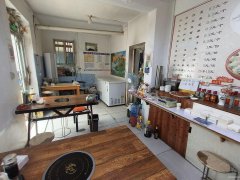 C12194粮校内8年老店山东饺子馆转让