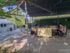 C12197呼图壁嘉泰牡丹园500平农家乐出租