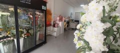 C12490新天润商圈经营中花店转让