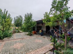 C12525米东区102团2连连部附近院落出售