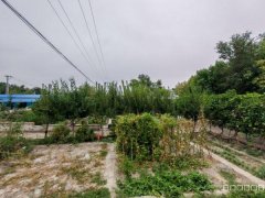 C12525米东区102团2连连部附近院落出售