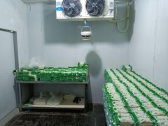 C12528位于阜康市华联市场内经营中食品加工厂转让