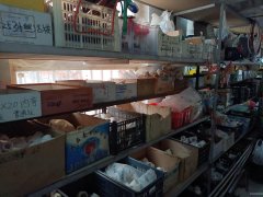 C12875位于奇台县古城明珠二期临街五金水暖建材店转让