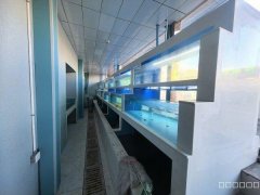 C12893老华凌市场8号门第一家特产水产店转让