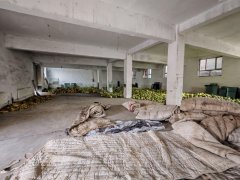 C12931米东区480平厂库房出租