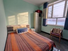 C13006阜康市五工梁西村1200平院落出售