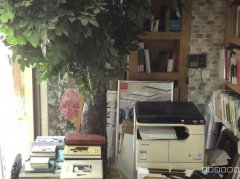 C13208商铺出租  呼图壁县皇城一号面向步行街