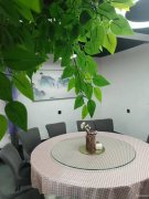 C13233位于安宁渠镇临街商铺出租