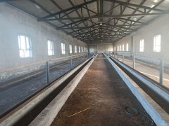 C13261院落出租出售