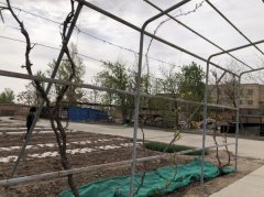 C13316旺铺出租  呼图壁县前程停车场隔壁铁北路