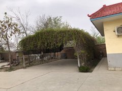 C13316旺铺出租  呼图壁县前程停车场隔壁铁北路