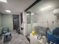 C13417苏州路盈科山水华庭外铺65平宠物店转让