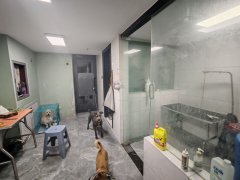 C13417苏州路盈科山水华庭外铺65平宠物店转让